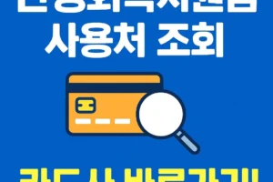 민생회복지원금 사용처 조회, 카드사 바로가기!