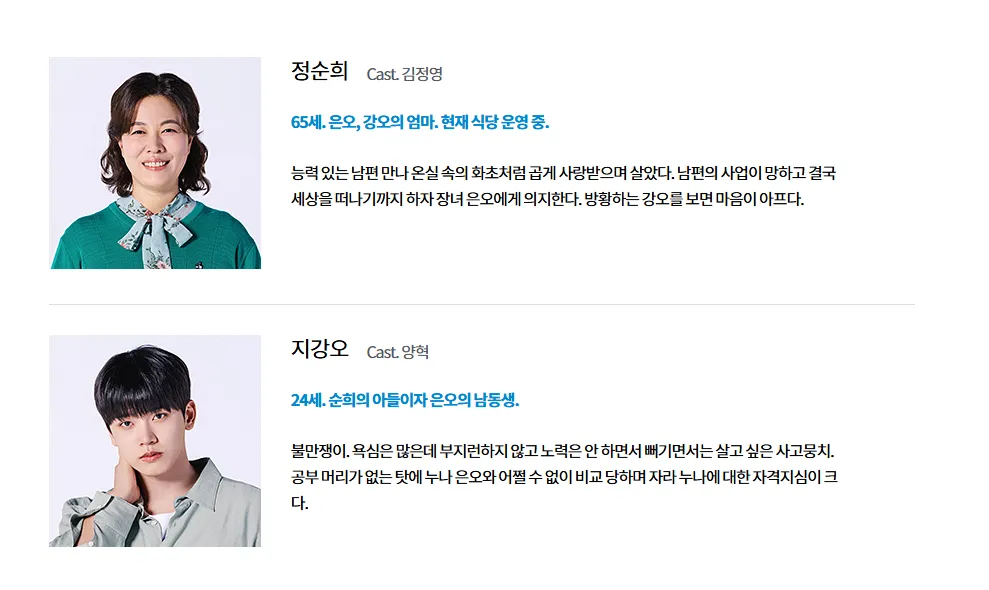 2025 드라마 화려한 날들 출연진과 등장인물은 어떻게 되나요? - 화려한날들드라마 등장인물4