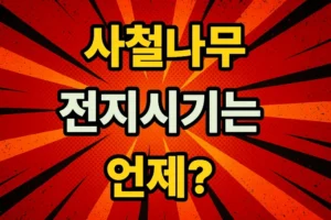 사철나무 전지시기(가지치기)는 언제인가요?