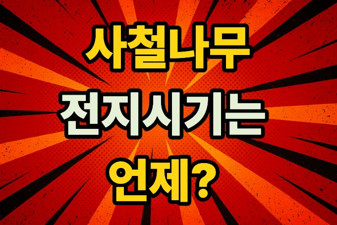 사철나무 전지시기(가지치기)는 언제인가요?