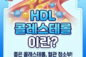 착한 HDL 콜레스테롤, 수치 높이는 비결은?