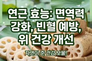 연근 효능과 올바른 섭취법