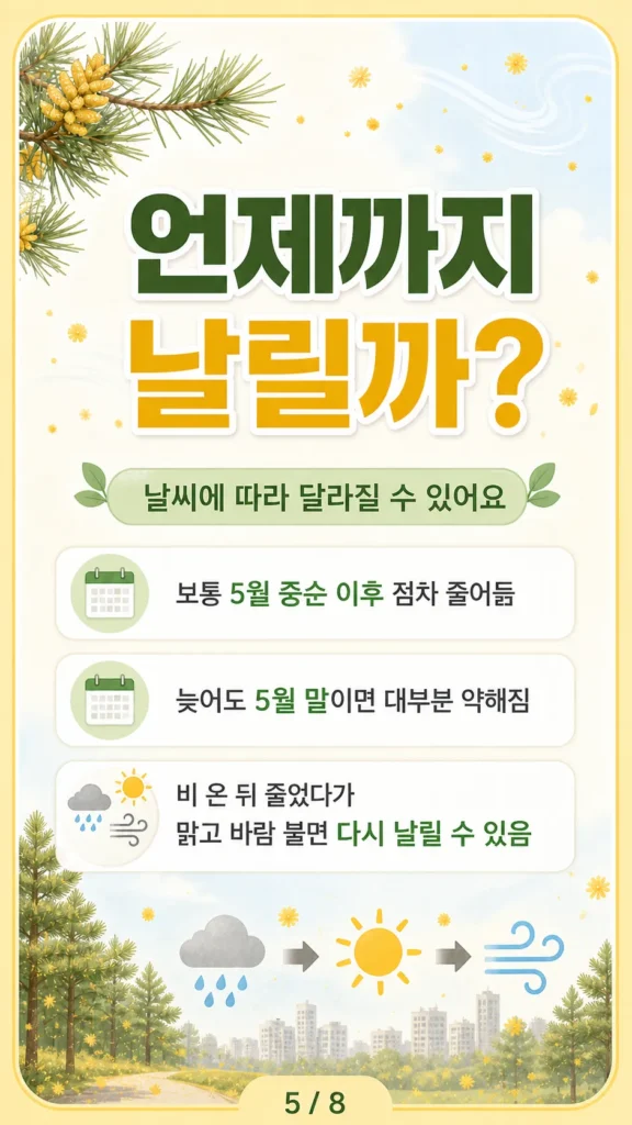 송진가루 날리는 시기는 언제까지? 2026 - 2026-05-05 09.28