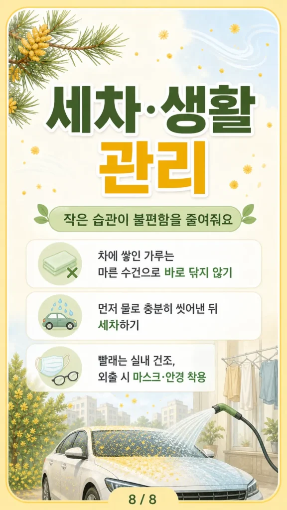 송진가루 날리는 시기는 언제까지? 2026 - 2026-05-05 09.28