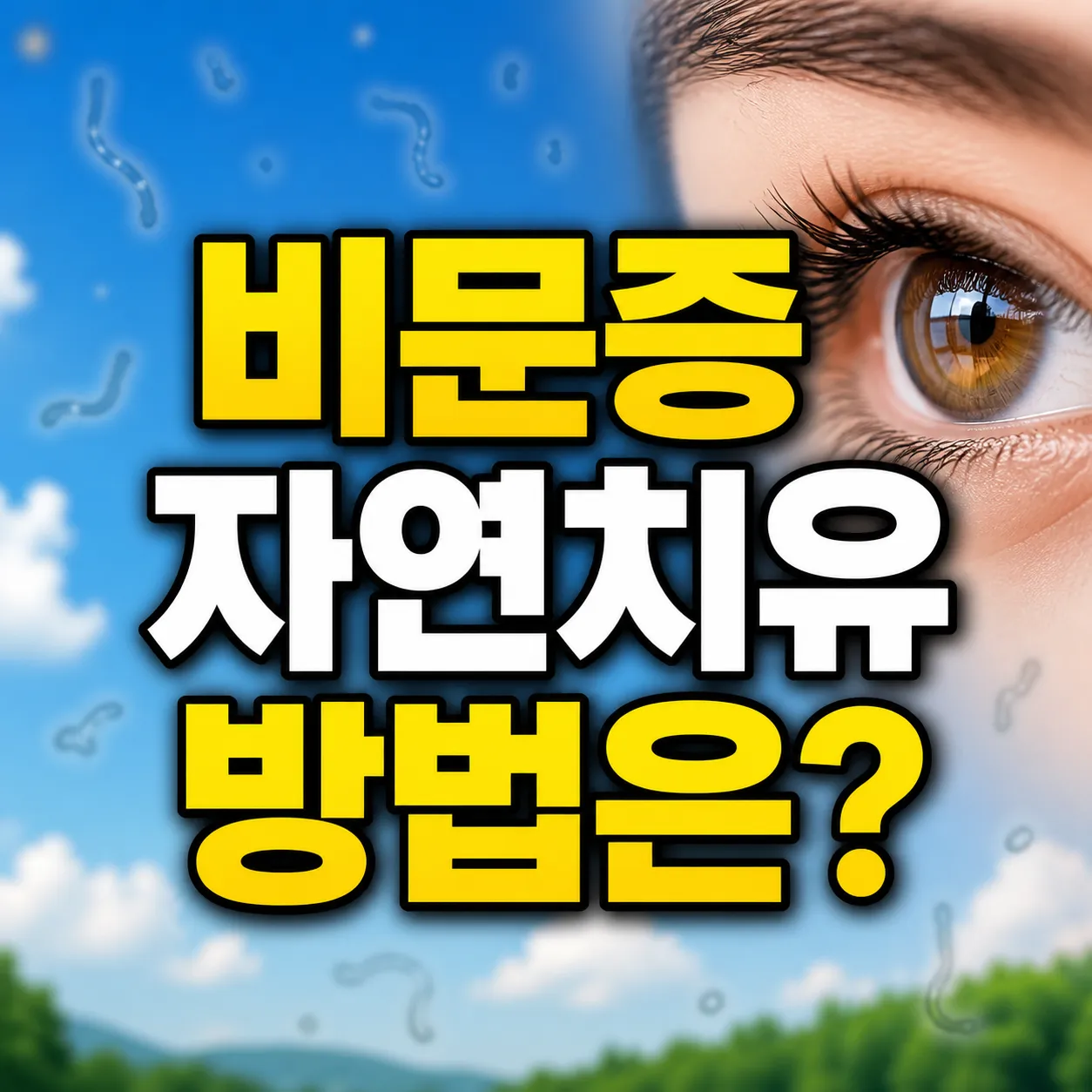 비문증 자연치유 방법 2026