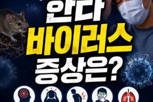 한타바이러스 증상은 어떻게 나타날까? 2026